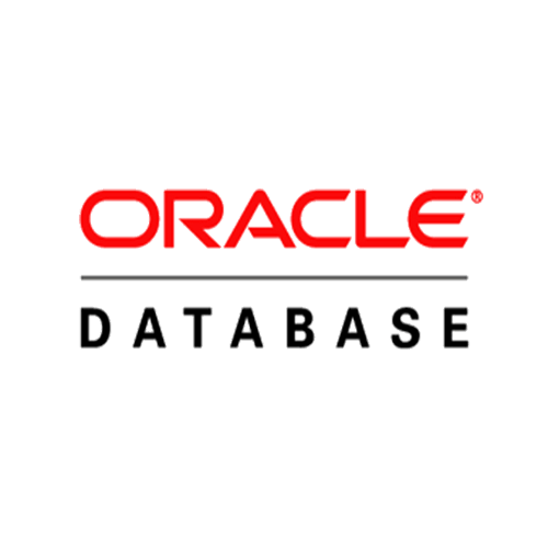 Oracle Database Logo